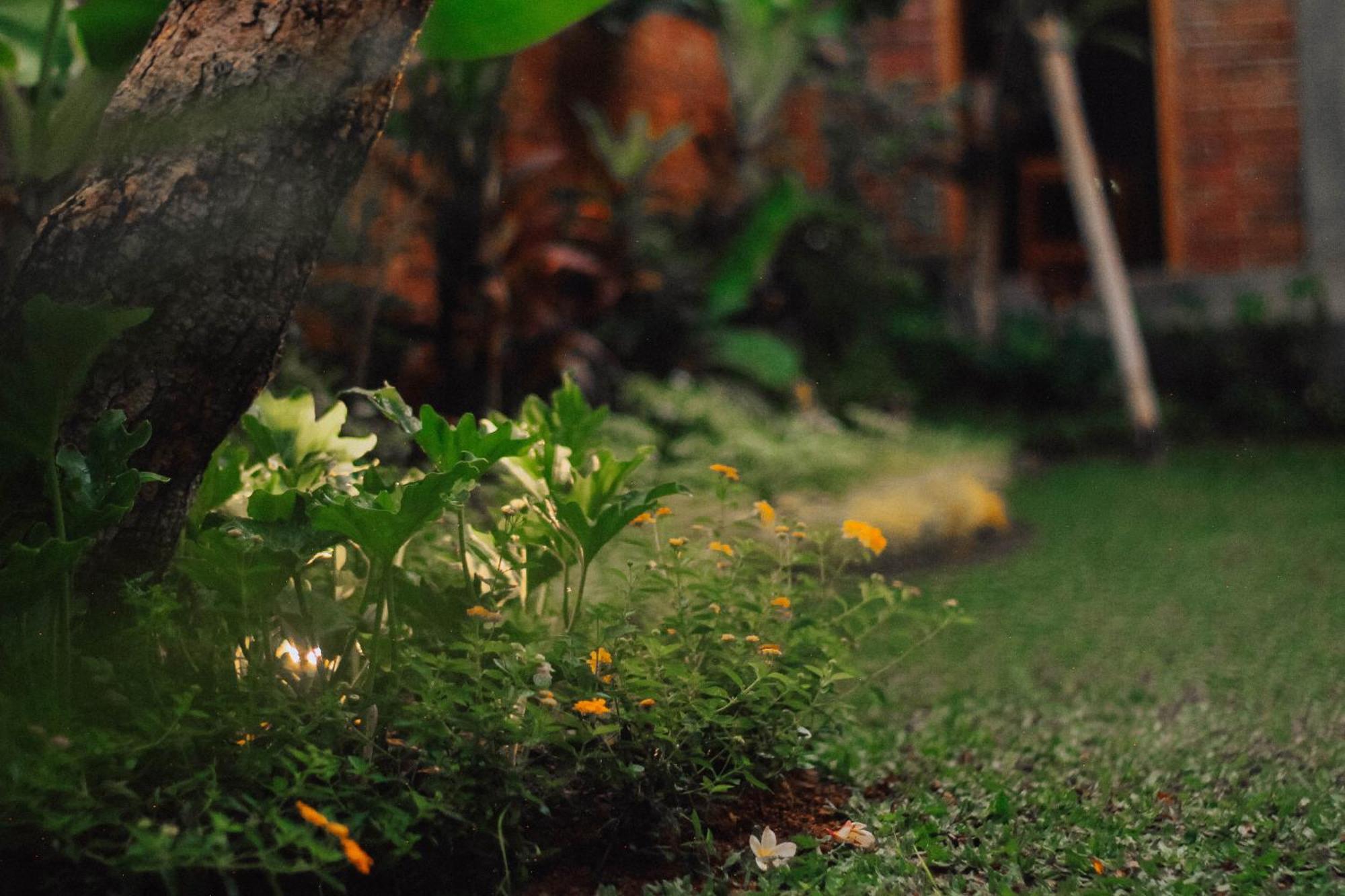 The Govardhan Homestay Canggu Екстериор снимка